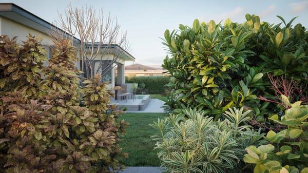 Trendwende im Garten: Warum ein neuer Strauch den Photinia bald verdrängt